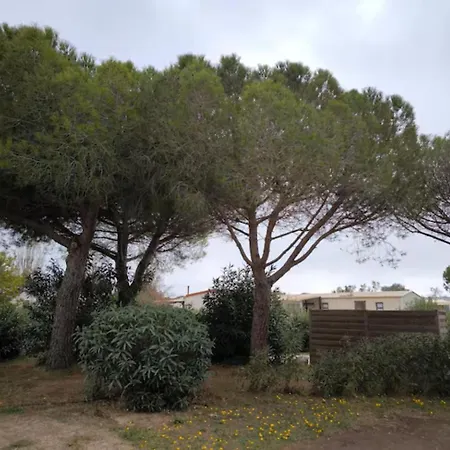 Kemp Charme, Confort & Espace, 3 Ch, 40 M2, Super Equipe *